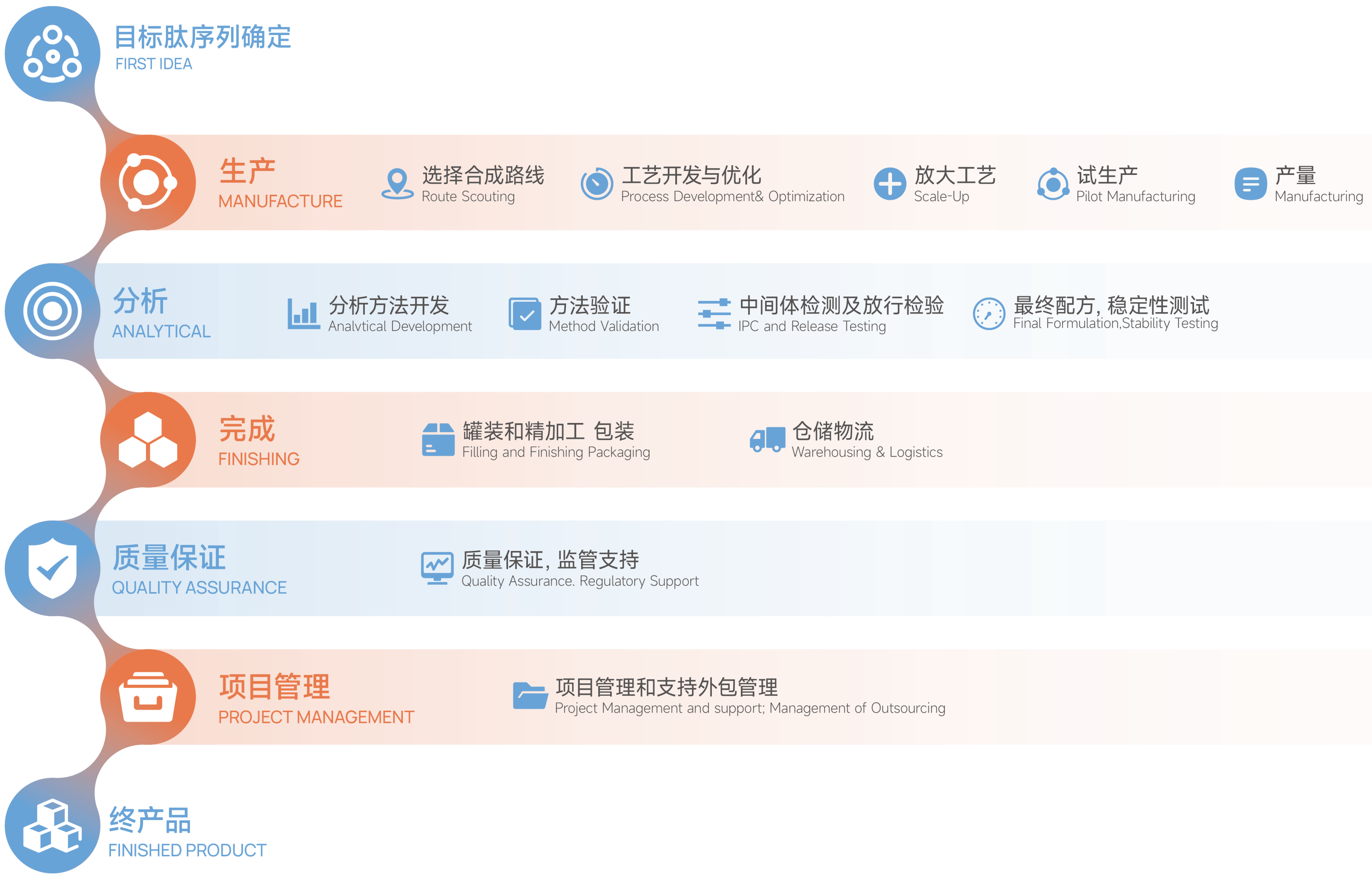 CDMO流程图中文版_画板 1.png