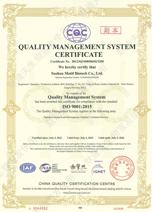 ISO 9001认证证书2.png